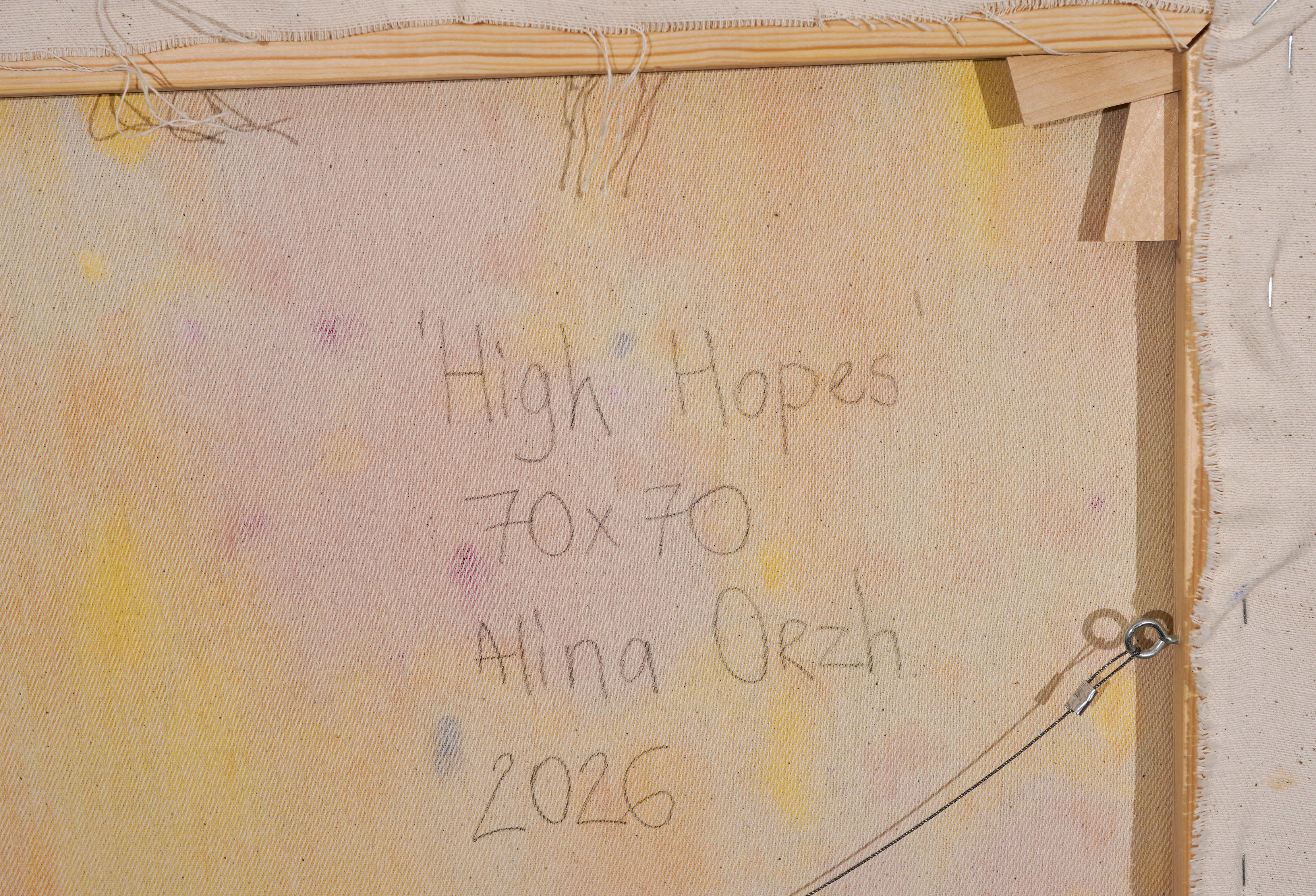 High Hopes — view 7