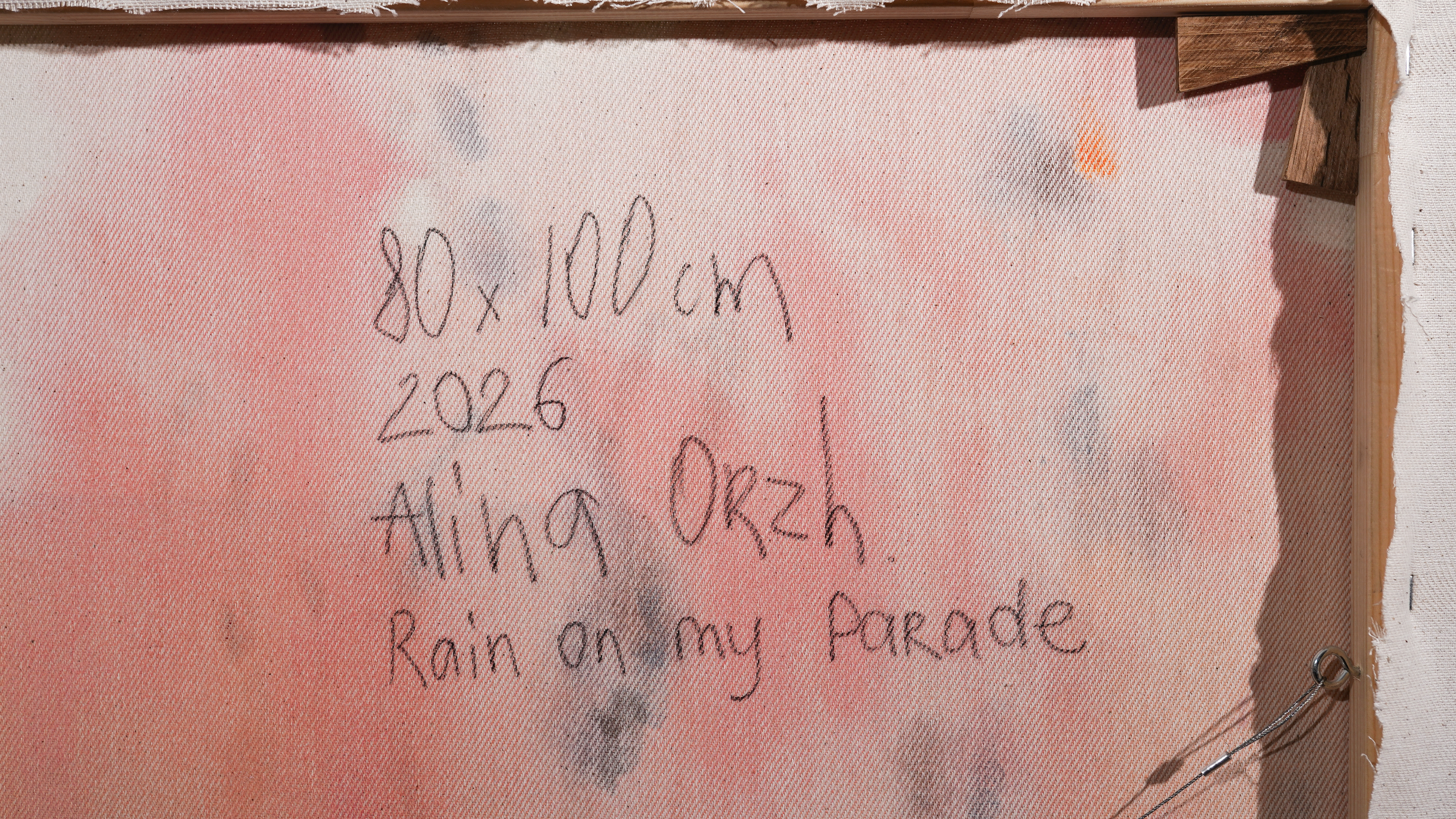 Rain on My Parade — view 6